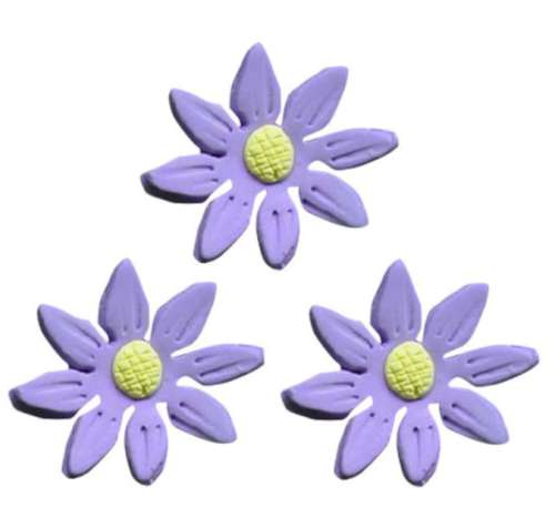 Purple Daisy Flowers